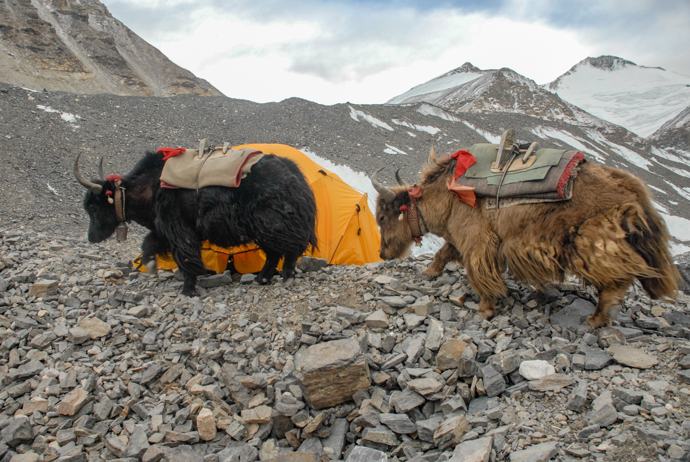 To Advanced Base Camp